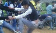 宾阳最新新闻爆料炮竹,揭秘传统工艺与现代创新的完美融合